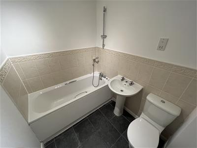 Picture 29